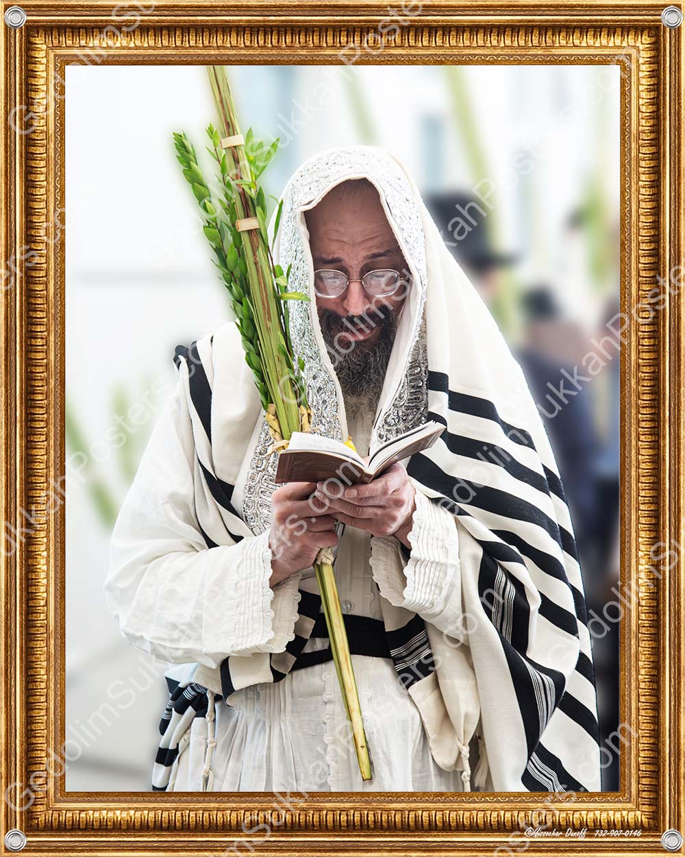 R' Chaim Meir Roth Lulav