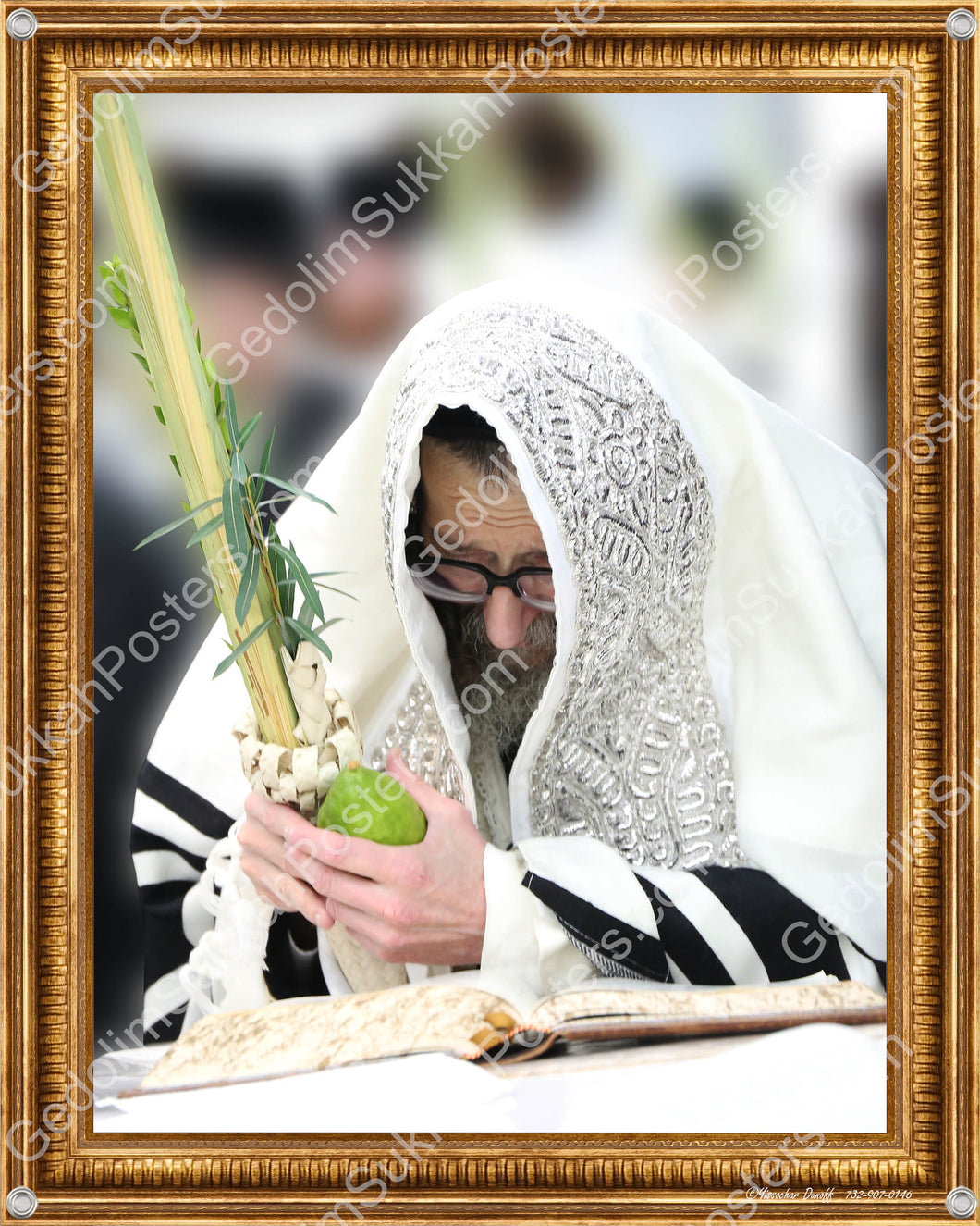 Skulener Rebbe 2 Lulav