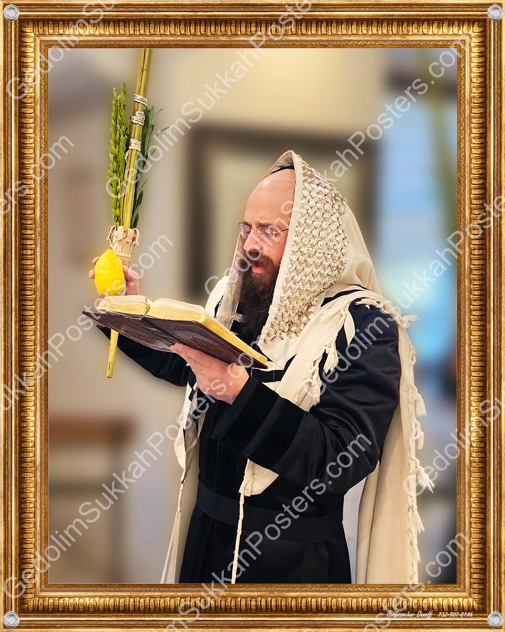 R' Shimon Yisroel Meisels - Neimark Lulav