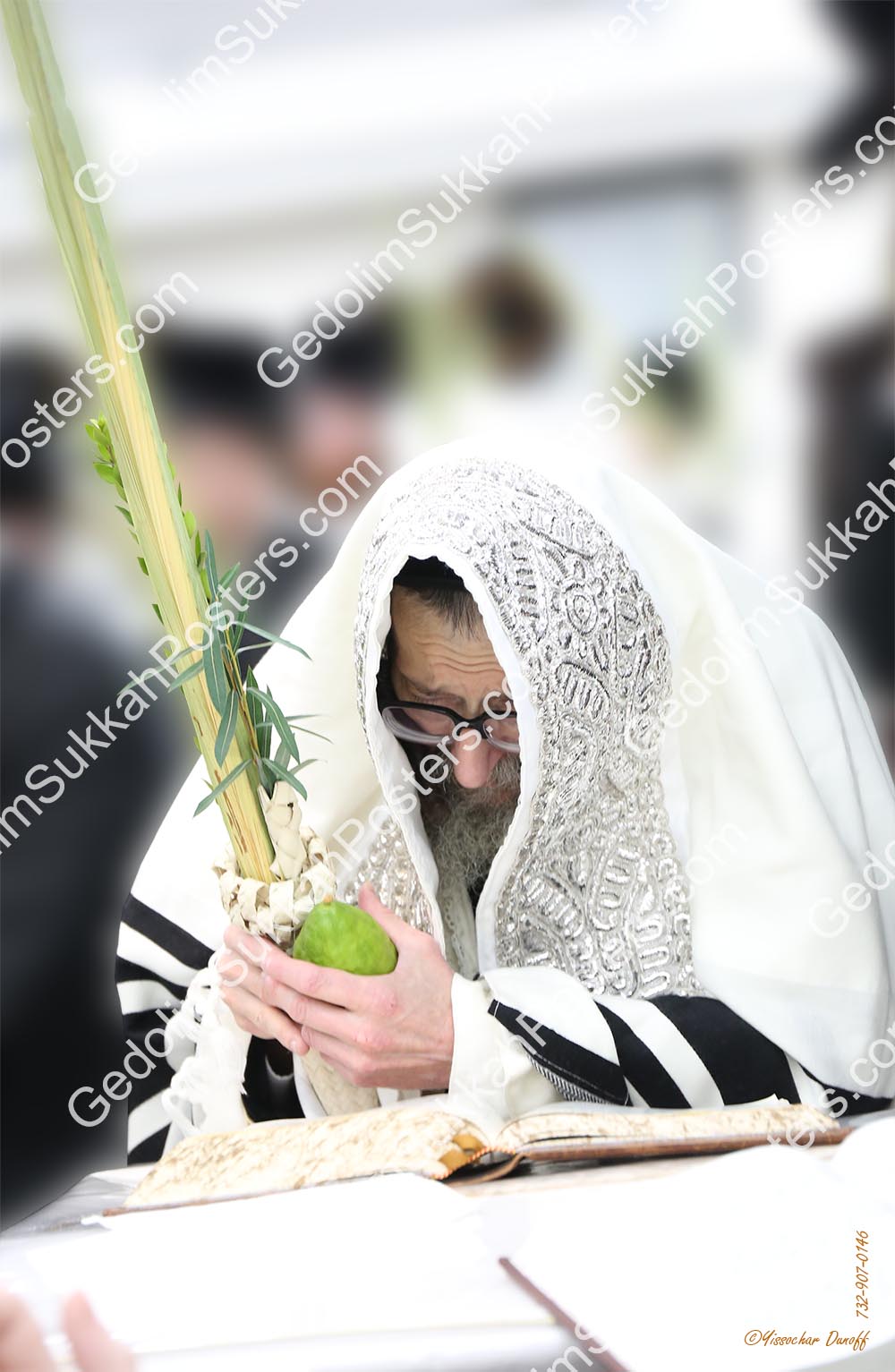 Skulener Rebbe 2 Lulav 11x17