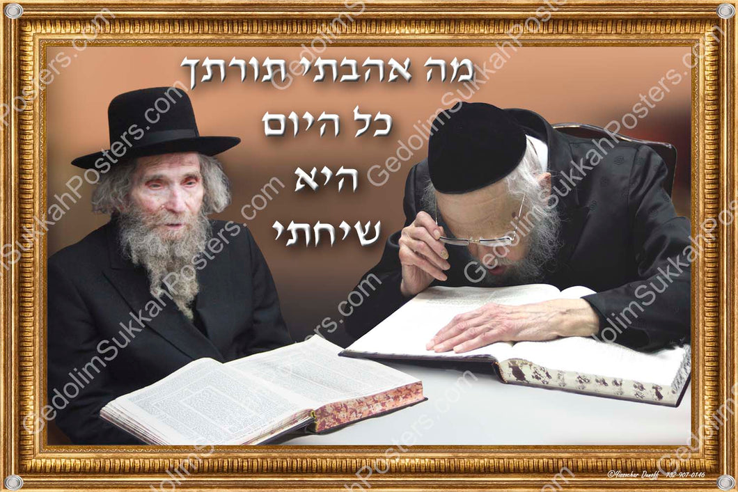 R' Yosef Shalom Elyashiv & R' Aharon Leib Shteinman