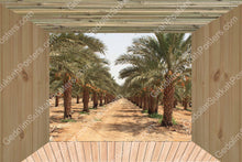 Load image into Gallery viewer, Palm Trees Sukkah Mural
